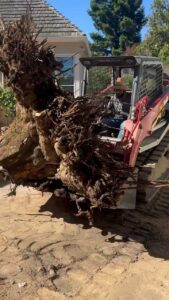 Prefabricated pool delivery and installation Sacramento