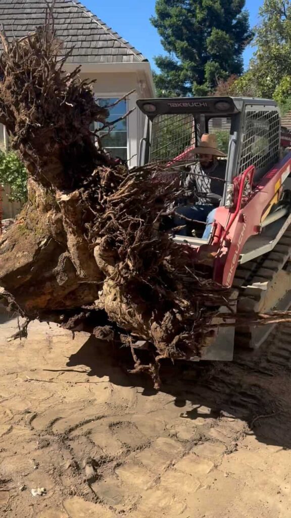 Prefabricated pool delivery and installation Sacramento