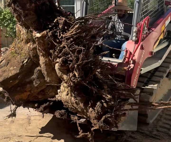 Prefabricated pool delivery and installation Sacramento